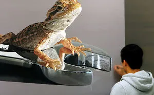 100 Incredibly Realistic Artworks That Are Hard to Believe Are Not Photographs