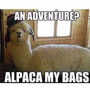 TravelTrina
