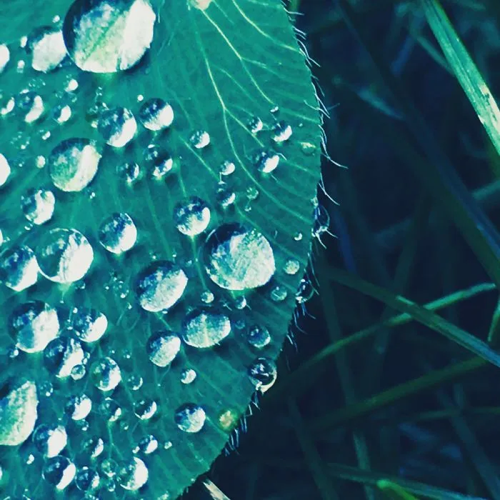 Amazing Photos 2