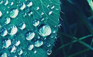 Amazing Photos 2