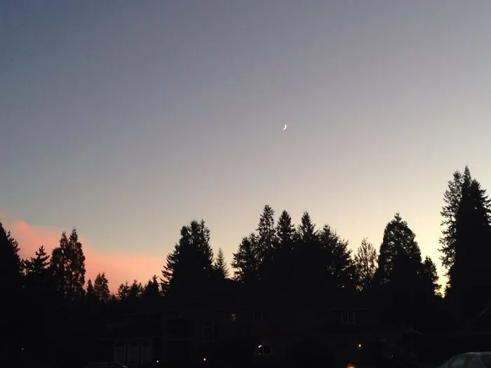 Pretty Sunset