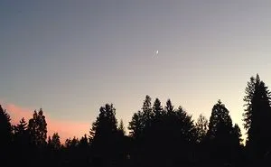Pretty Sunset