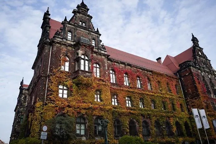 National Museum Surrounded By Vibrant Autumn Colors Ivy Leaf