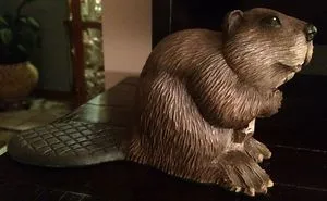 Recent Carving