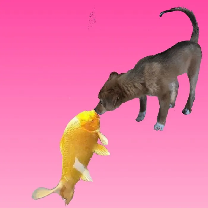 Just Another Dog