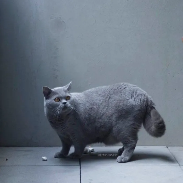 My Everyday Life.