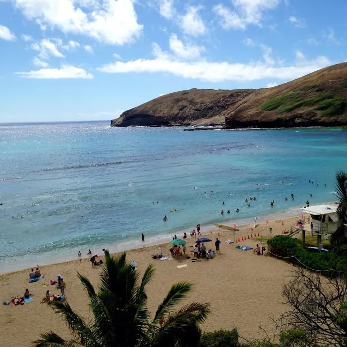 A Hawaiian Adventure Documented Through Photos Of The Sea