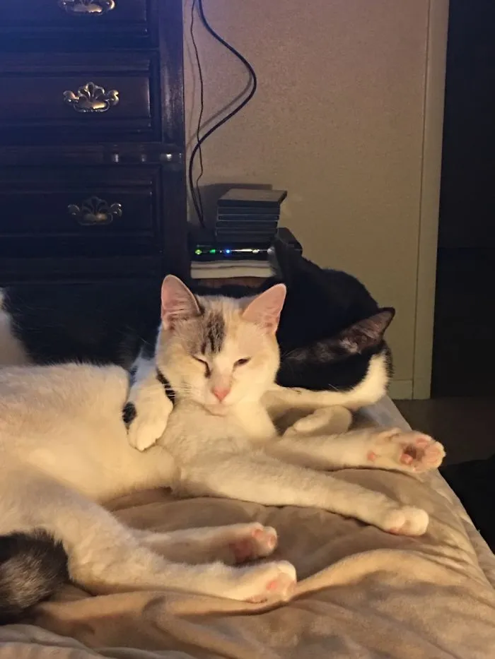 Brother And Sister!