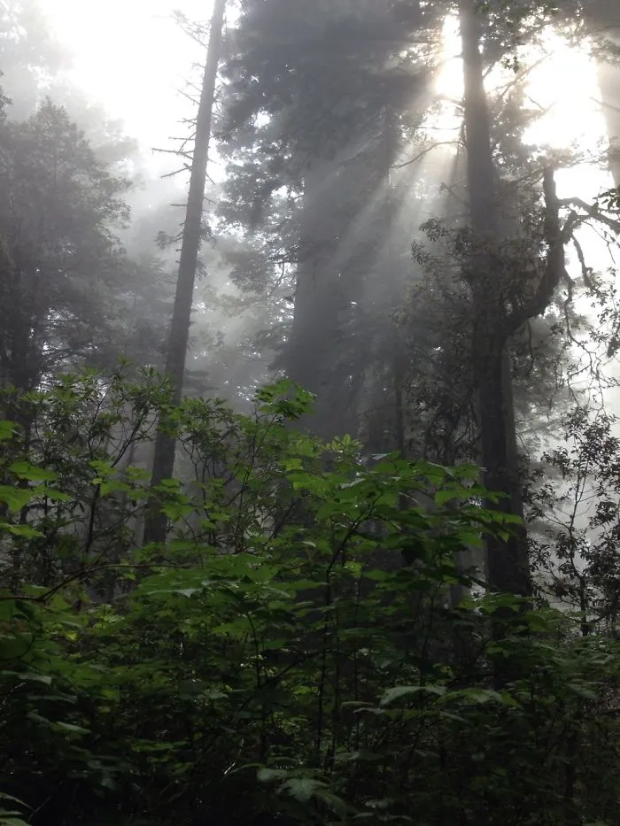 Nature Surrounds Us
