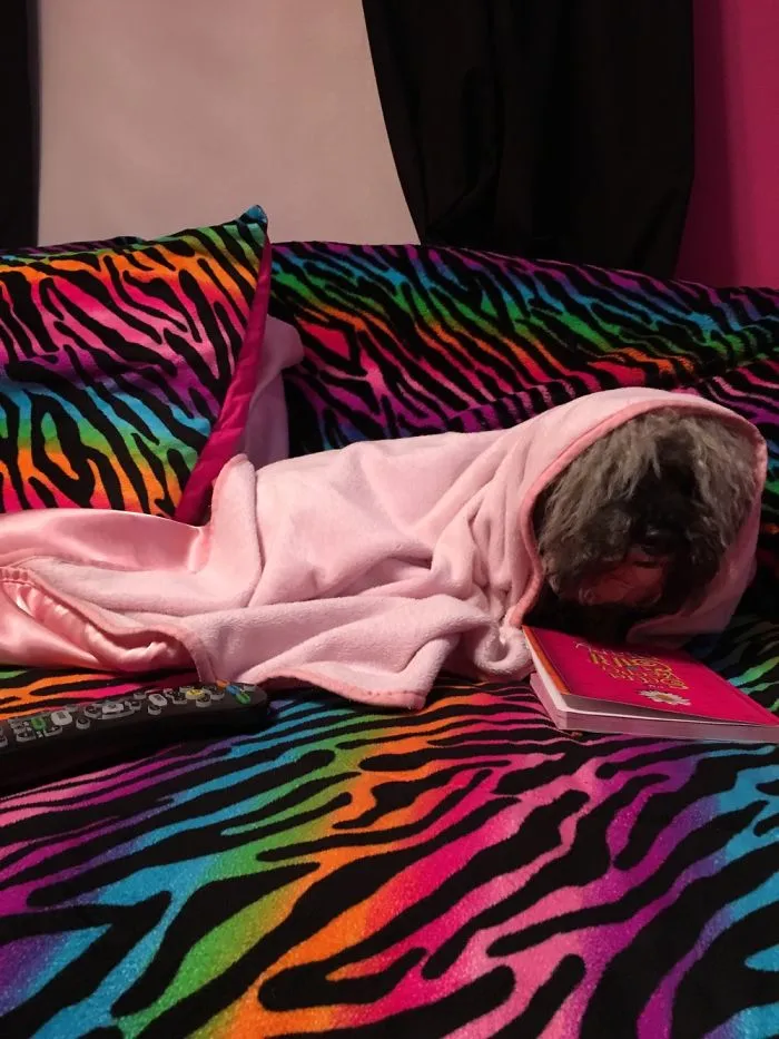 Evil Pink Spirit Was On My Bed Reading My Diary
