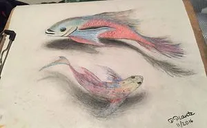 Fishes
