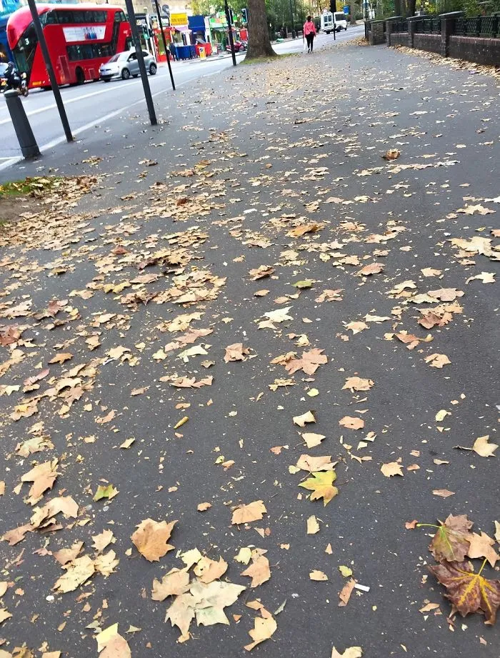 Autumn