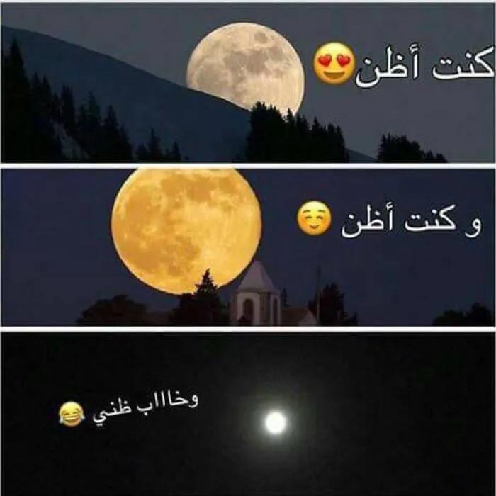 76 Hilarious Reactions To The Disappointing Supermoon