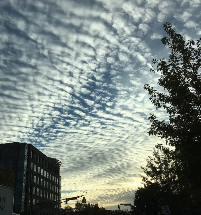 I Capture The Beauty Of My City Just The Way It Is