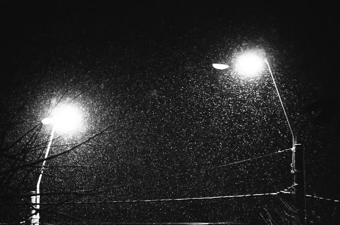 I Recently Picked Up Photography. This Are Some Of My Pictures.
