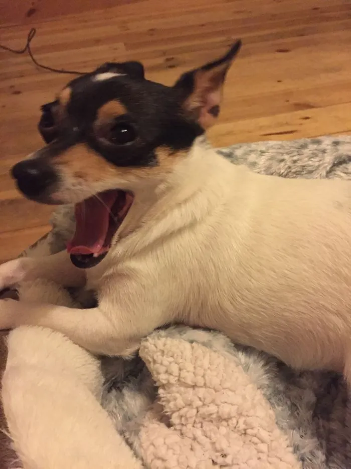 Long Cold Walk, Home And Warmth Reaction