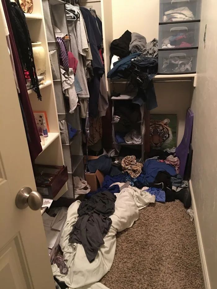 Spot The Kitty