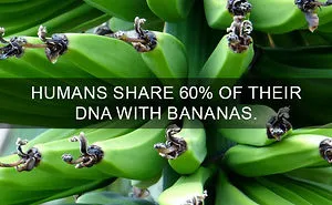 81 Amazing Facts That Will Change The Way You See The World
