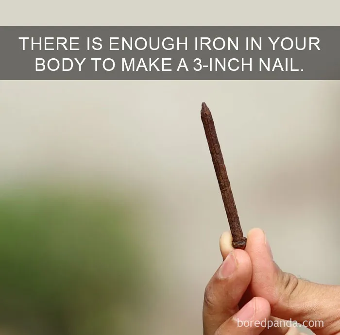 Hand holding a rusty 3-inch nail with text about iron in the body featured in amazing facts that change how you see the world.