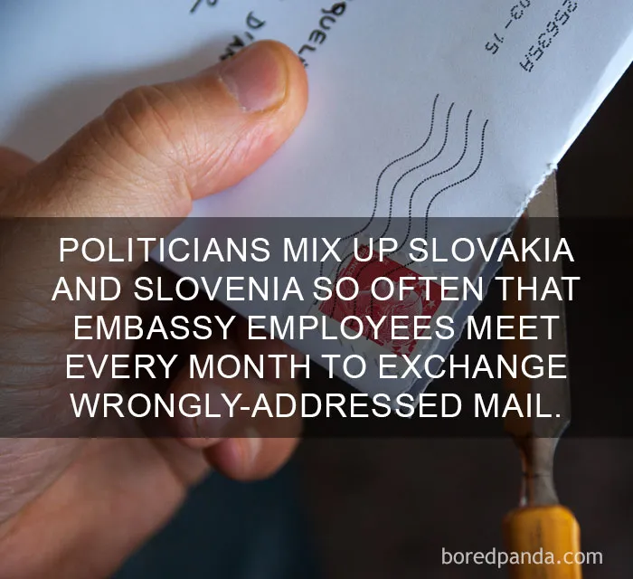 Postal Mix-Up Chronicles