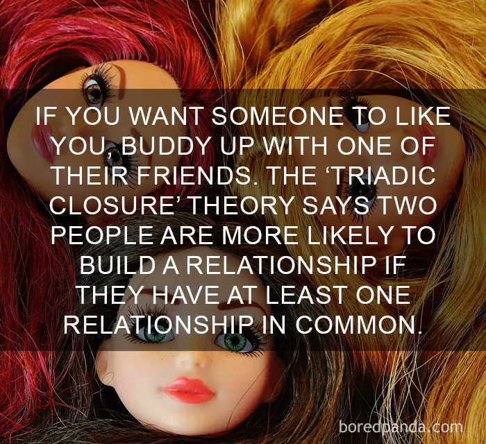 Three dolls with red, blonde, and brown hair close together illustrating amazing facts about relationships and human behavior.