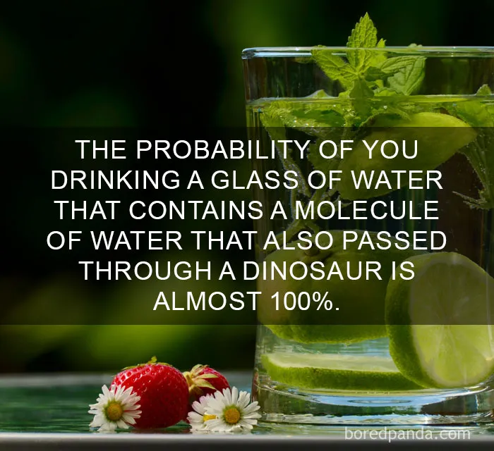 Dinosaur Hydration Facts