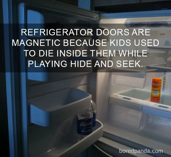 Open refrigerator showing magnetic doors with a surprising fact from 81 amazing facts that will change the way you see the world.