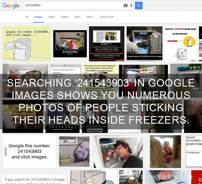 Google image search results showing numerous photos of people sticking their heads inside freezers, illustrating amazing facts that change perspectives.