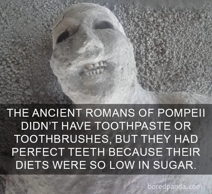 Life Facts