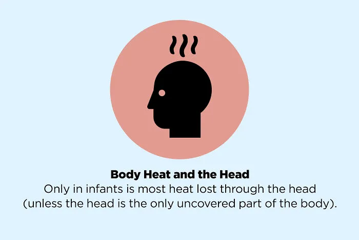 These 50 Facts You Always Believed Are Actually Fake