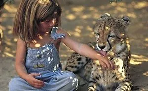 The Real Life Mowgli; A Female Wildling