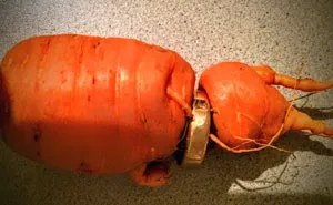 82-Year-Old Man Just Discovered His Lost Wedding Ring In Carrot From His Own Garden
