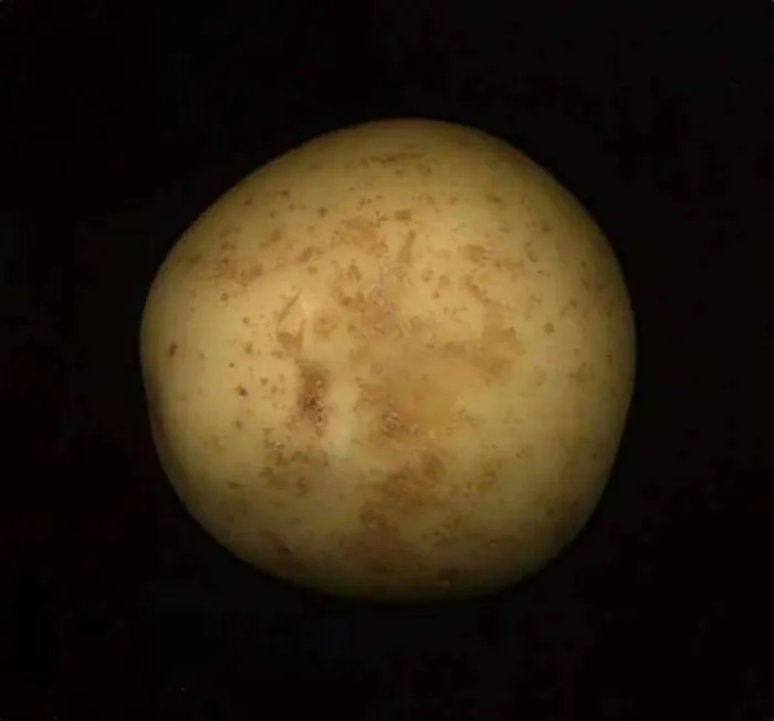 76 Hilarious Reactions To The Disappointing Supermoon