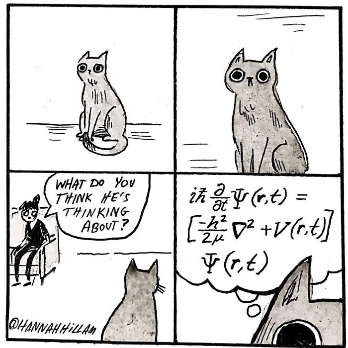 Artist Illustrates What It's Like To Live With Cats (35 Pics)