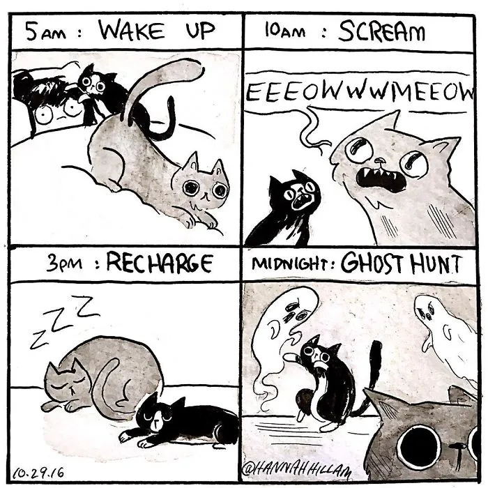 Artist Illustrates What It's Like To Live With Cats (35 Pics)