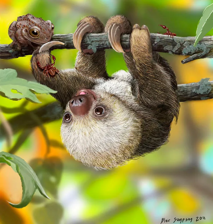 Cute Portraits Of Unexpected Animal Buddies By Blair Sampson