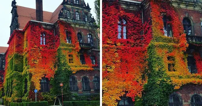 National Museum In Wrocław, Poland By Anna Kowalów
