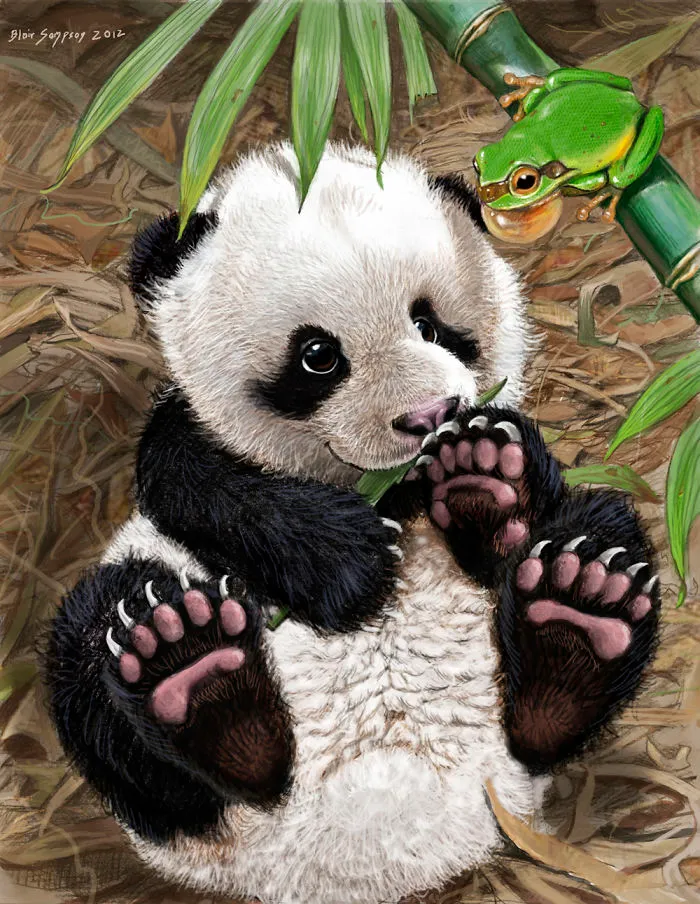 Cute Portraits Of Unexpected Animal Buddies By Blair Sampson