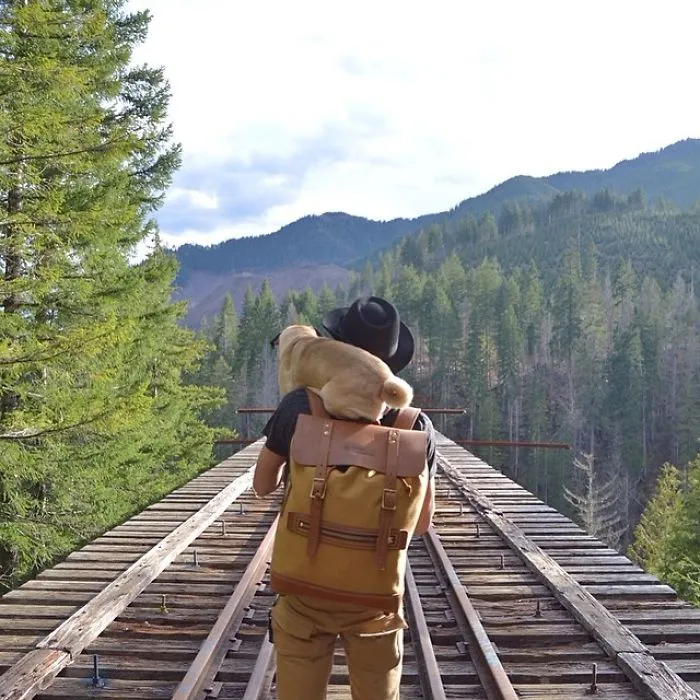 Owner Takes His Pug On Epic Adventures (147 Pics)