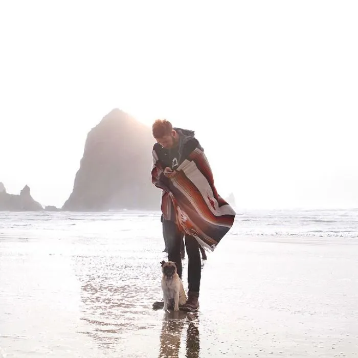 Owner Takes His Pug On Epic Adventures (147 Pics)