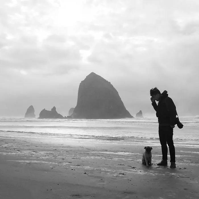 Owner Takes His Pug On Epic Adventures (147 Pics)