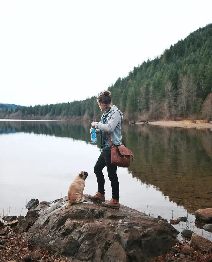 Owner Takes His Pug On Epic Adventures (147 Pics)