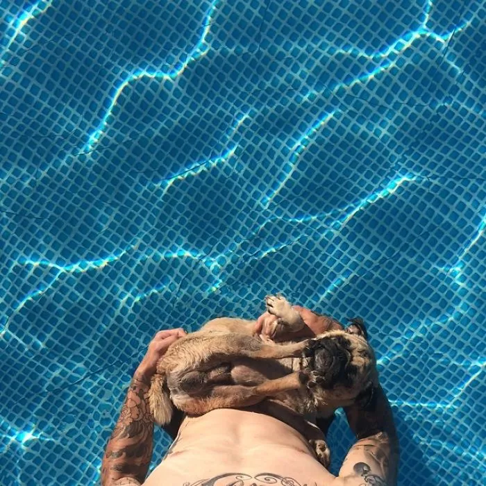 Owner Takes His Pug On Epic Adventures (147 Pics)