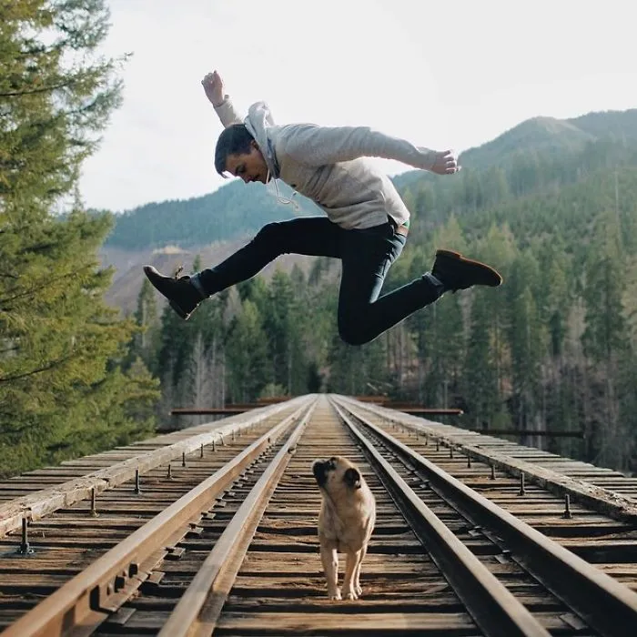 Owner Takes His Pug On Epic Adventures (147 Pics)
