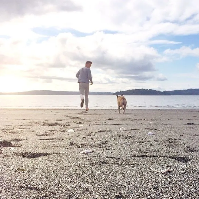 Owner Takes His Pug On Epic Adventures (147 Pics)