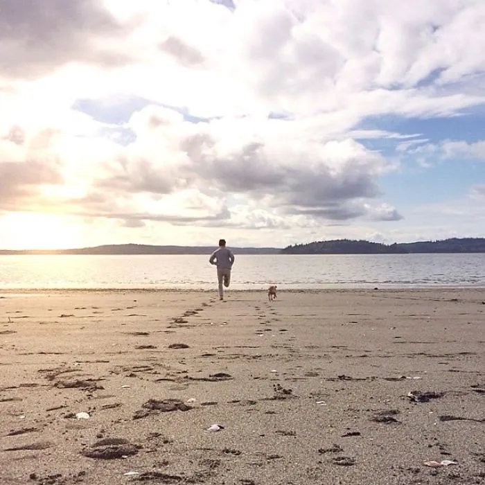 Owner Takes His Pug On Epic Adventures (147 Pics)