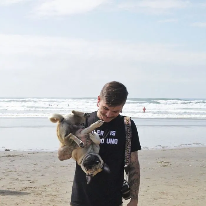 Owner Takes His Pug On Epic Adventures (147 Pics)