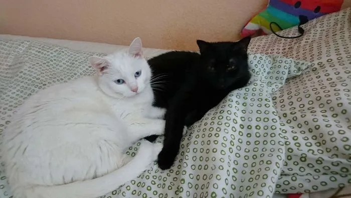 Bětka & Ostružina