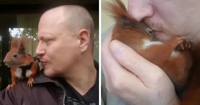 Squirrel Abandoned By His Mom Finds The Best Dad Ever