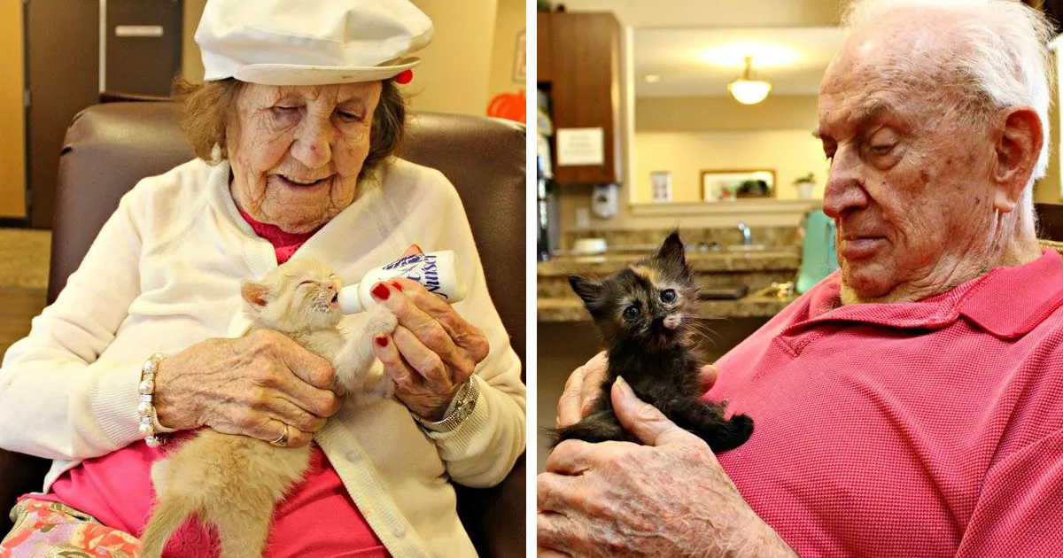 Un refugio animal forma equipo con un geriátrico para salvar tanto a los gatos como a los ancianos